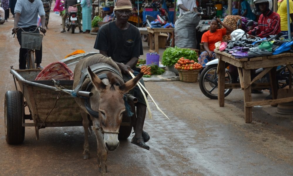 L'endettement excessif du Togo, le marché est-il en souffrance ?
