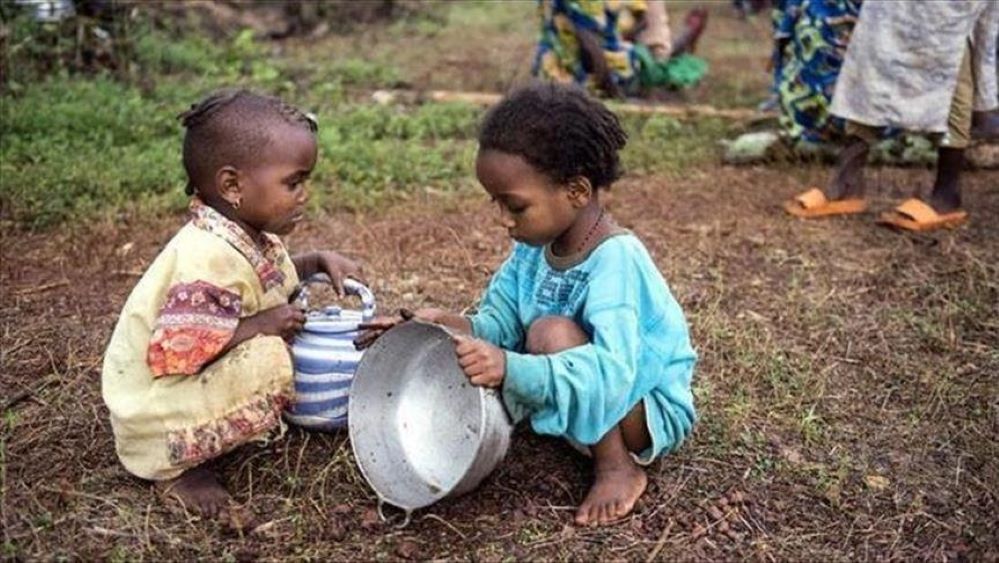 Famine en Afrique de l'Ouest, les experts alertent