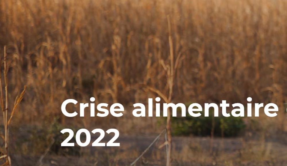 A la suite du rapport de la FAO sur la sécurité alimentaire dans le monde en 2021, Oxfam dénonce un système alimentaire en panne