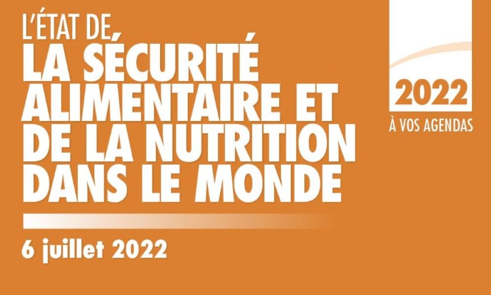 La FAO a publié son rapport 2022 sur la sécurité alimentaire dans le monde, des millions de personnes en Afrique ont été touchés en 2021